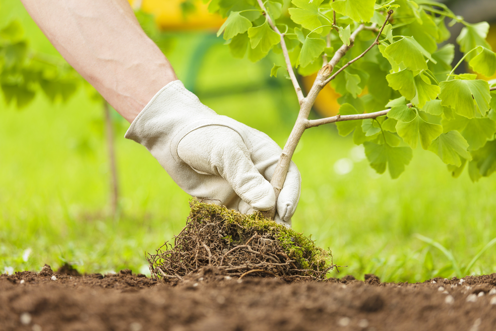 how to compost print waste